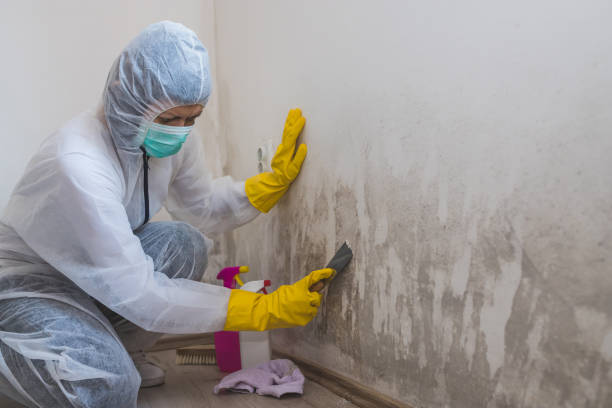 Best Biohazard Mold Removal  in Fowler, CA